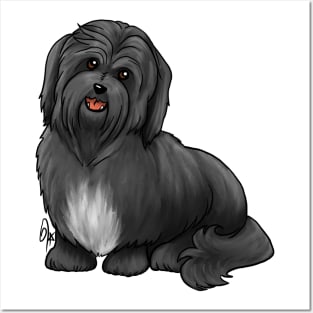 Dog - Havanese Dog - Black Posters and Art